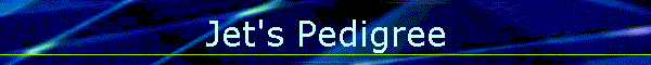 Jet's Pedigree